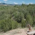 Tesuque Outpost Casita F Best Views In Santa Fe