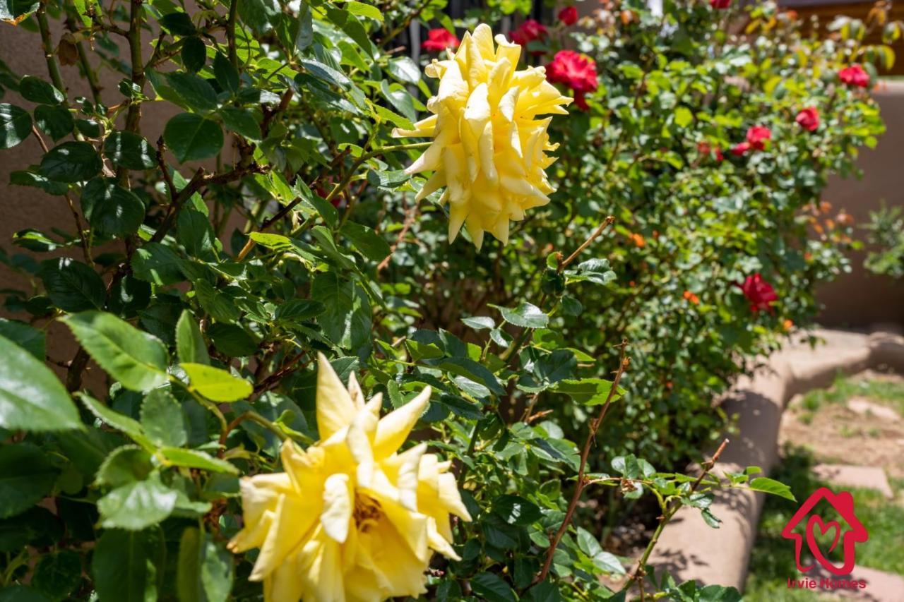 Rancho De La Luna Casita Holiday home