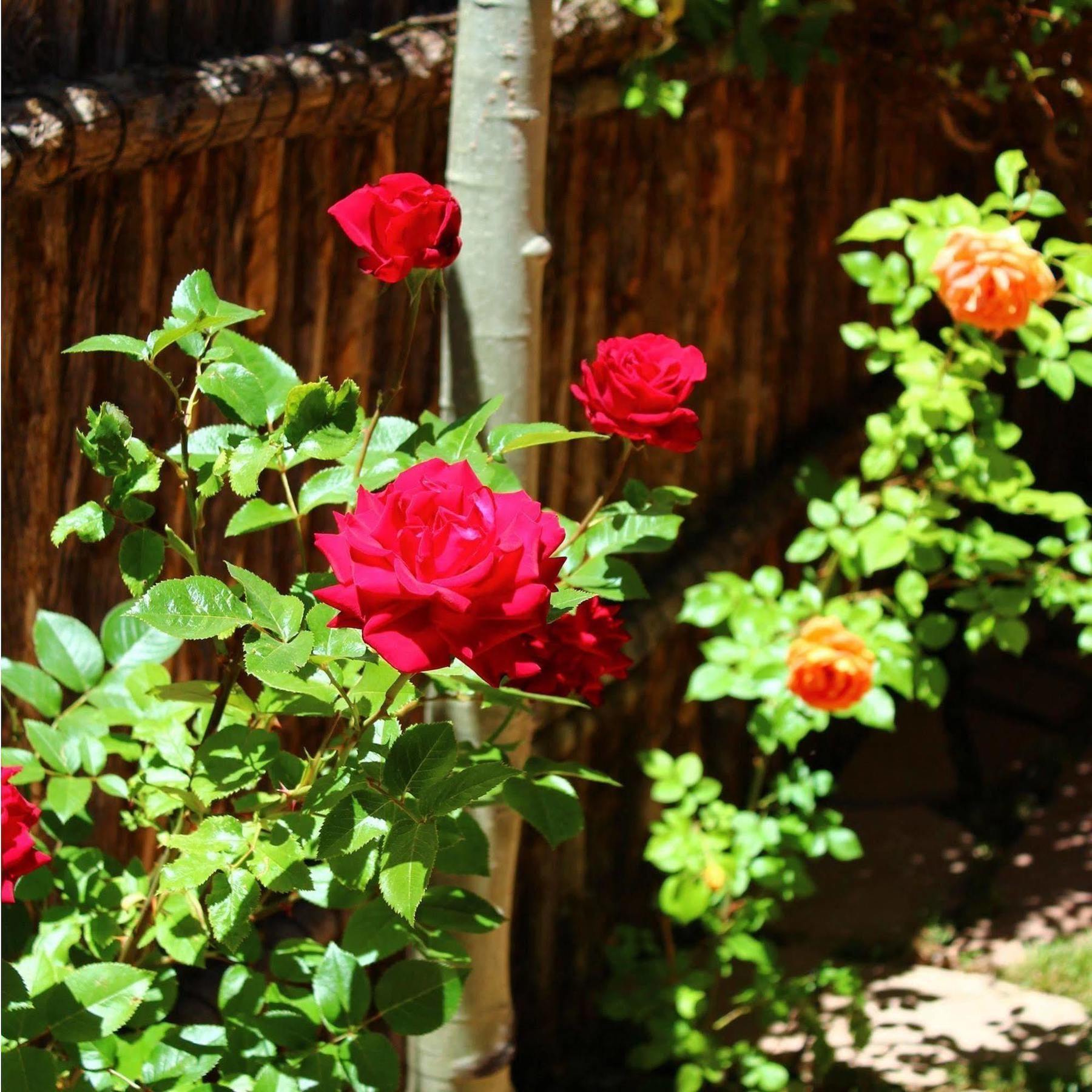 Antigua (adults Only) Santa Fe