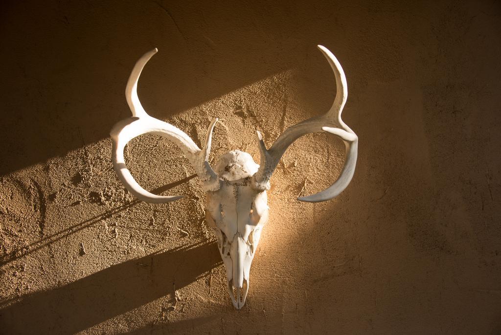 Of The Turquoise Bear Bed & Breakfast Santa Fe