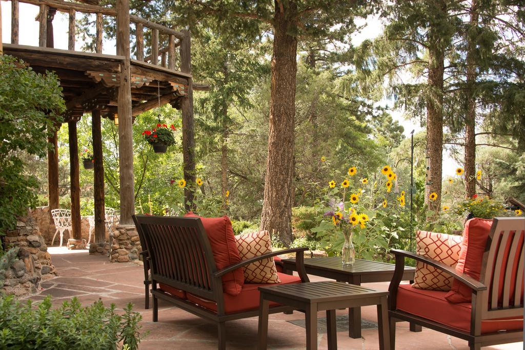 Bed & Breakfast Of The Turquoise Bear