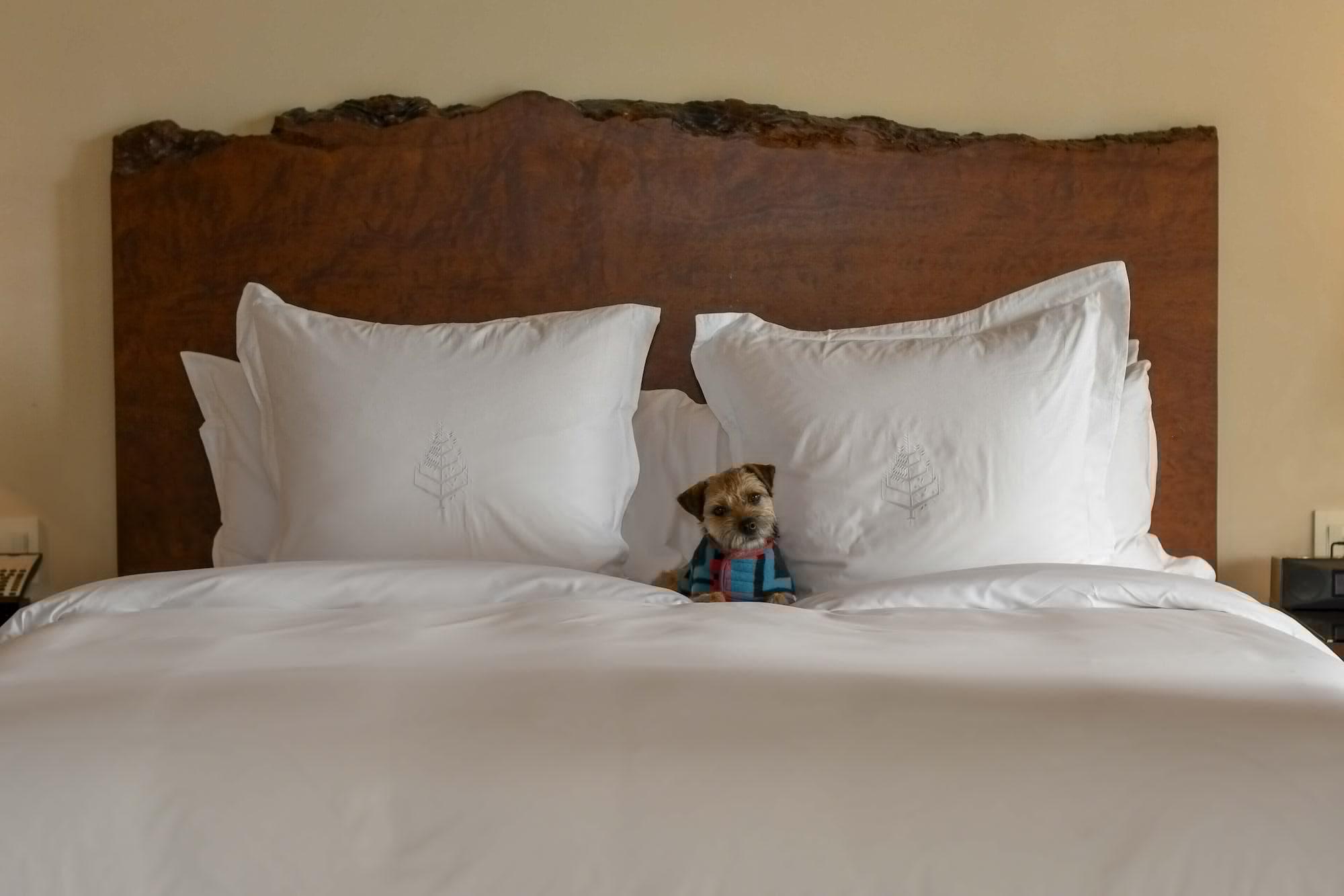 Four Seasons Santa Fe Resort